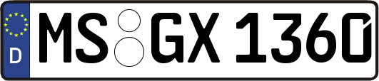 MS-GX1360