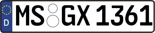 MS-GX1361