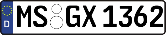 MS-GX1362