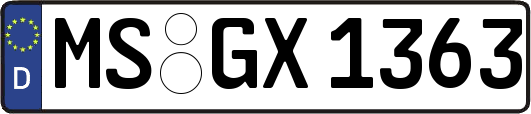 MS-GX1363