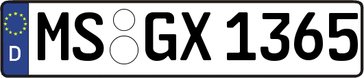MS-GX1365