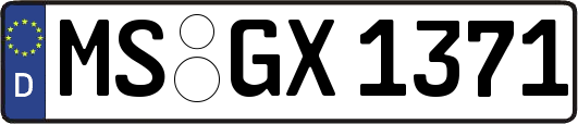 MS-GX1371