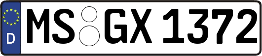 MS-GX1372