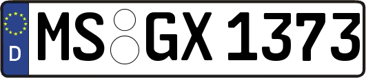 MS-GX1373