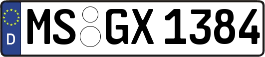 MS-GX1384