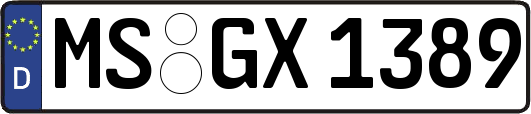 MS-GX1389