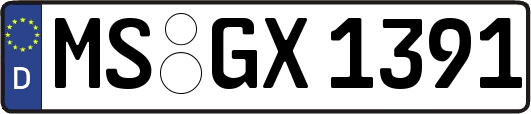MS-GX1391