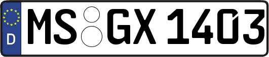 MS-GX1403