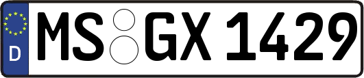 MS-GX1429
