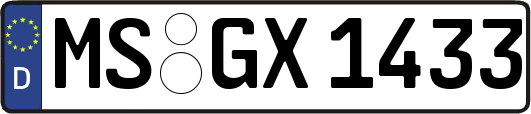 MS-GX1433