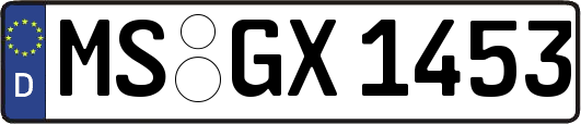 MS-GX1453