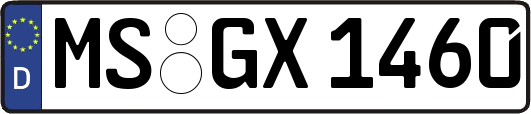 MS-GX1460