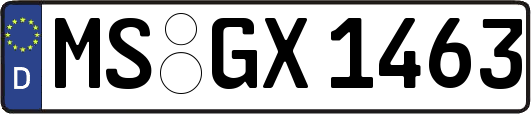 MS-GX1463