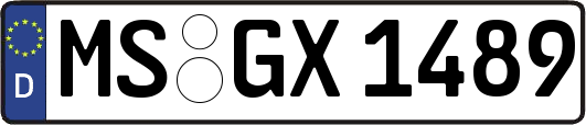 MS-GX1489