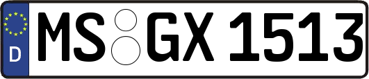MS-GX1513