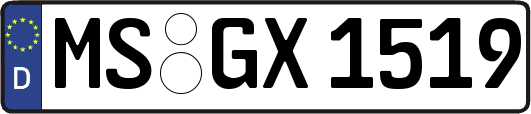 MS-GX1519