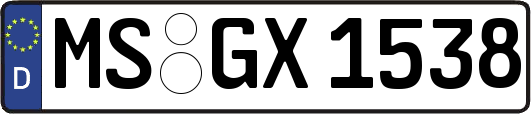 MS-GX1538