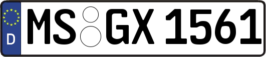 MS-GX1561