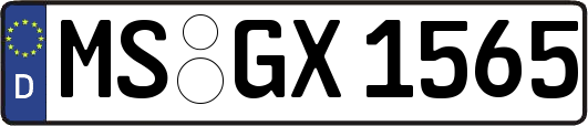 MS-GX1565