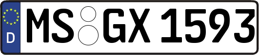 MS-GX1593