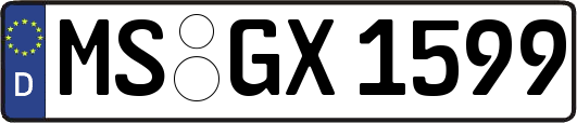 MS-GX1599