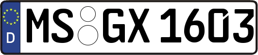 MS-GX1603