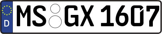 MS-GX1607
