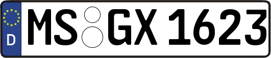 MS-GX1623