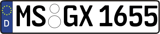 MS-GX1655