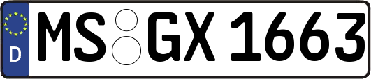 MS-GX1663