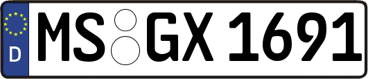 MS-GX1691