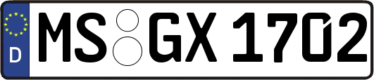 MS-GX1702