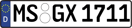 MS-GX1711