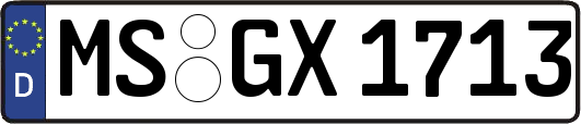 MS-GX1713