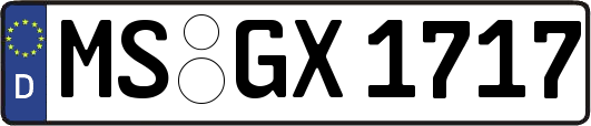 MS-GX1717