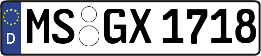 MS-GX1718