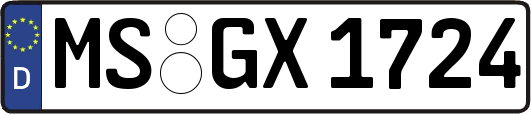 MS-GX1724