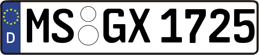 MS-GX1725