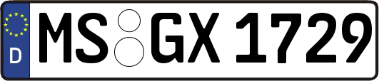 MS-GX1729