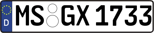 MS-GX1733