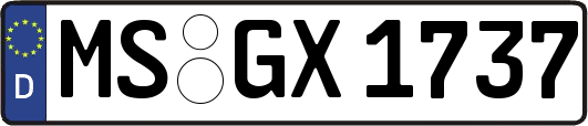 MS-GX1737
