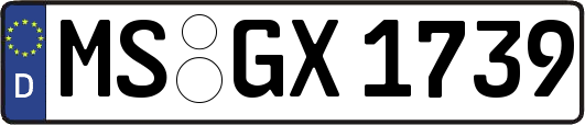 MS-GX1739