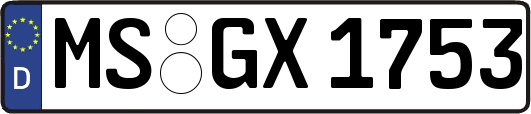 MS-GX1753