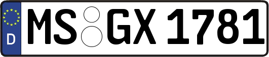 MS-GX1781