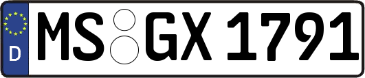 MS-GX1791