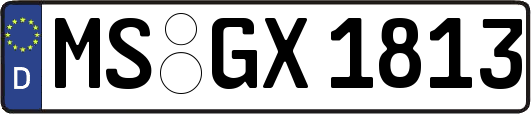 MS-GX1813