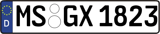 MS-GX1823