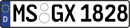 MS-GX1828
