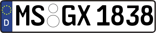 MS-GX1838