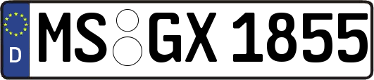 MS-GX1855